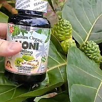 Premium Organic Noni